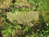 image of grave number 688549